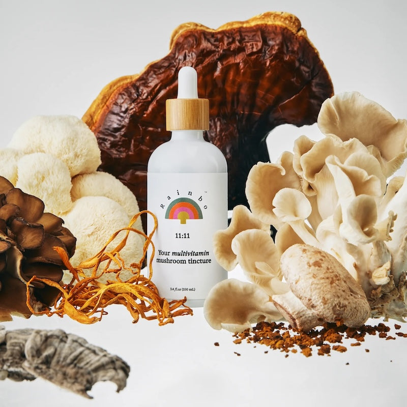 Rainbo 11:11 Super Multi-Mushroom Tincture