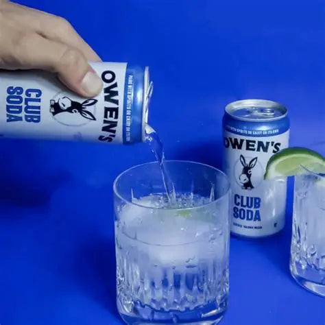 Owen's Club Soda | 4-pack